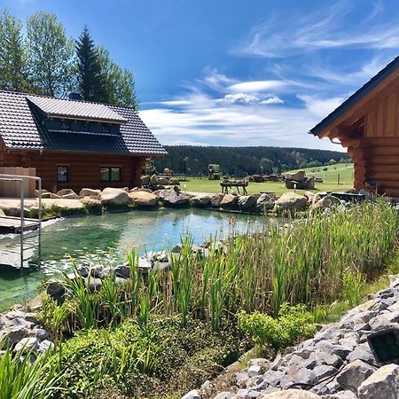 Naturstammhaus Und Appartements Zum Brockenbaecker Tanne Esterno foto