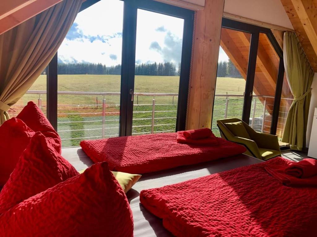 Naturstammhaus Und Appartements Zum Brockenbaecker Tanne Esterno foto