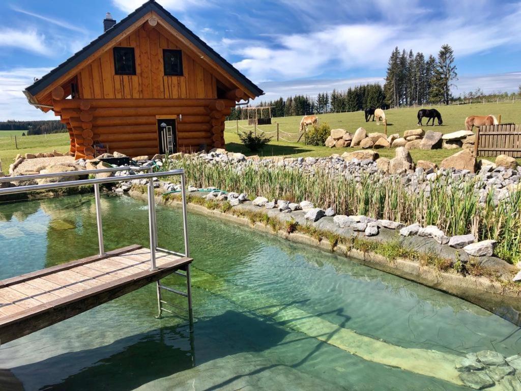 Naturstammhaus Und Appartements Zum Brockenbaecker Tanne Esterno foto